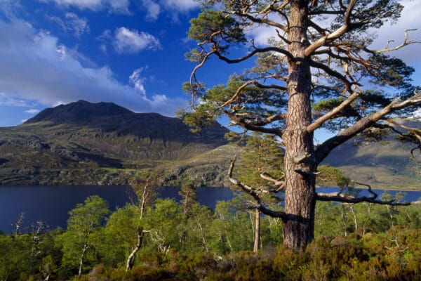 Highland Landscapes with Jonathan Willet