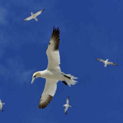 Nature Photography Workshop with Laurie Campbell