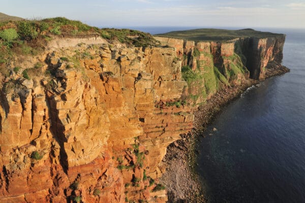 History & Wildlife of the Orkney Isles with Calum Urquhart