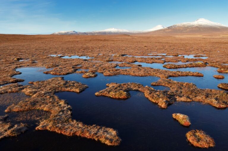 A view over the gorgeous flow country of Caithness and Sutherland